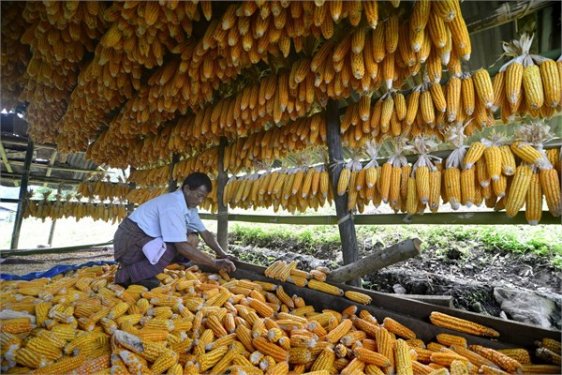 Bu ülkelerde çalışmak çok zor