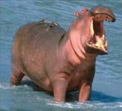 Kimsenin bilmediği şaşırtıcı gerçekler