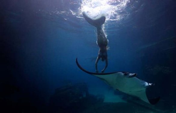 Hannah kendini deniz kızı sanıyor