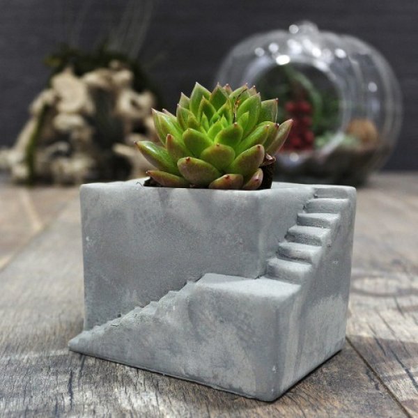 Dekorasyonda sukulent şıklığı