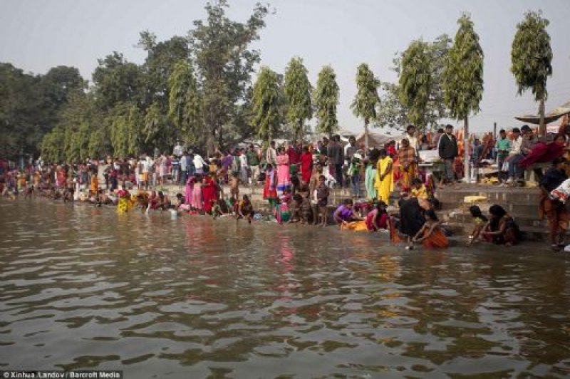 Nepal'de dini festivalde yüz binlerce hayvan kesildi