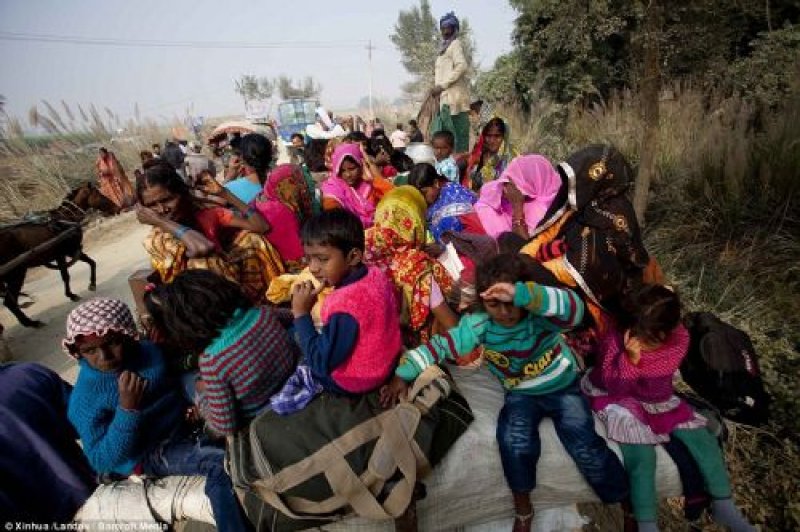 Nepal'de dini festivalde yüz binlerce hayvan kesildi