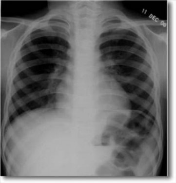 Dünyanın en ilginç olayları