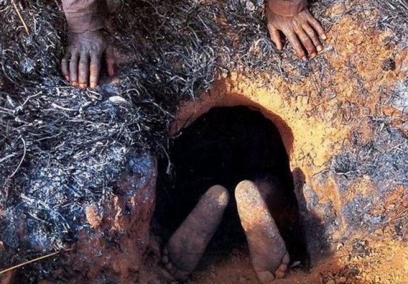 Afrikalı avcı pitonu eliyle yakaladı