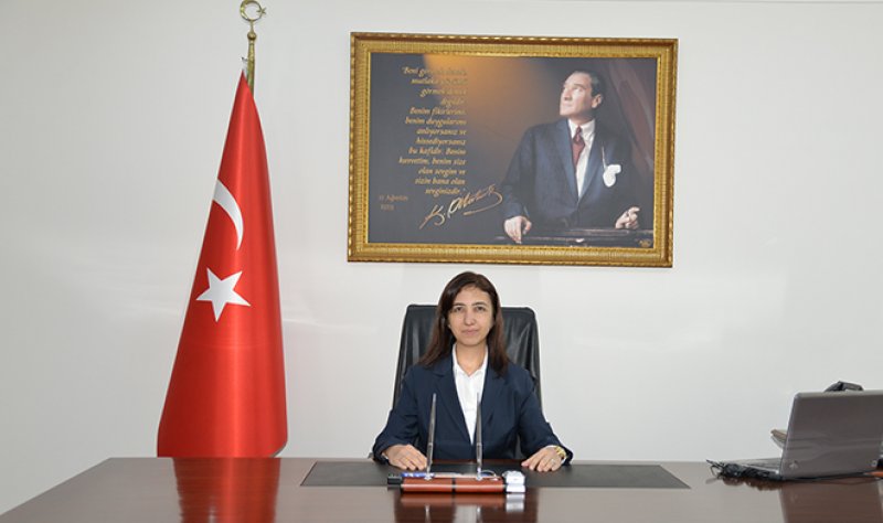 İsim isim illerin valileri