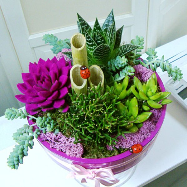 Dekorasyonda sukulent şıklığı