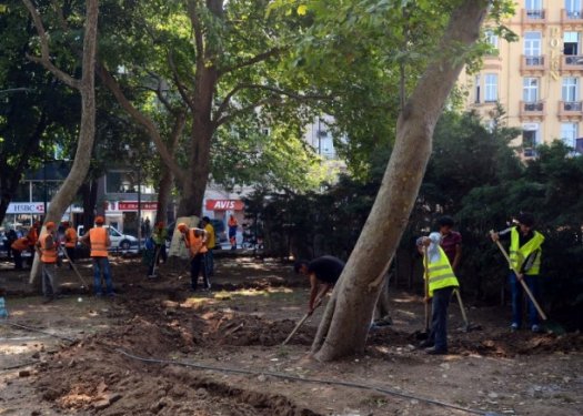Gezi parkı çiçek açtı