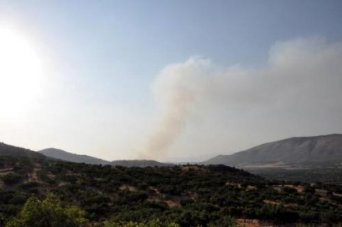 HAİN SALDIRININ PERDE ARKASI