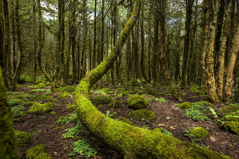 Dünyanın en korkunç mekanları 