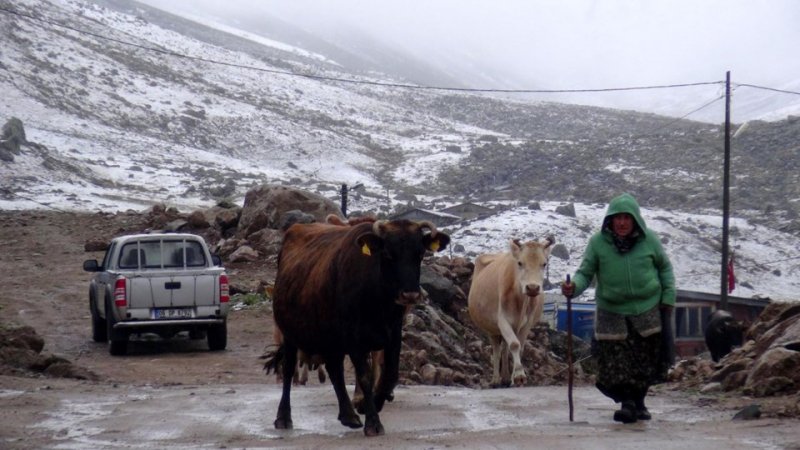 Rize yaylaları beyaza büründü