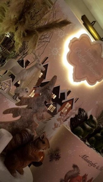 Sinem Öztürk baby shower partisi düzenledi 