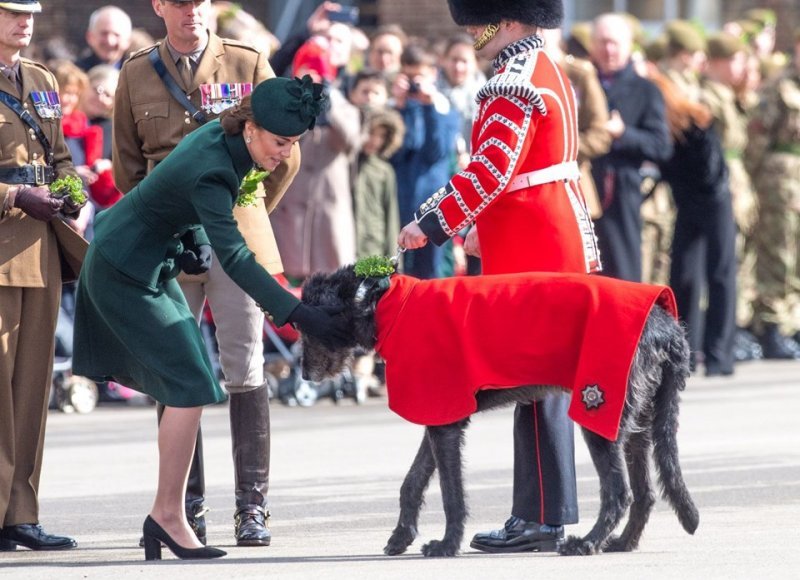 Kate Middleton ve Prens William bir etkinlikte boy gösterdi 