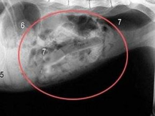 Kaç yıl geçti aradan