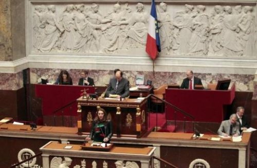 Soykırımı inkar yasasına deri ceketle geldi 