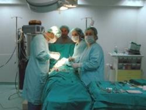 Dünyanın en ilginç olayları