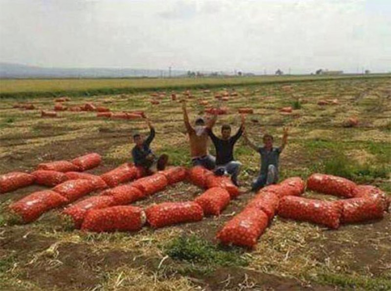 HDP'ye destek için paylaşılan ilginç fotoğraflar