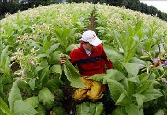 Hangi ülke kaç yaşında emekli oluyor