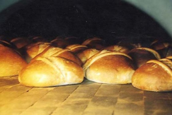 Peygamberlerin meslekleri