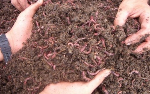 İşte dünyanın en zor meslekleri 