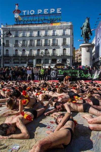 Madrid'de boğa güreşlerini protesto ettiler