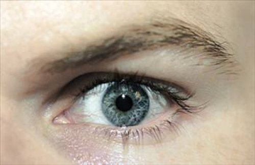 Dünyanın en ilginç olayları