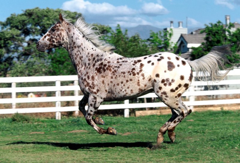 KADRİYE’NİN KALBİ SABUN LİF MODELİ YAPIMI KADRİYE’NİN KALBİ SABUN LİF MODELİ YAPIMI
