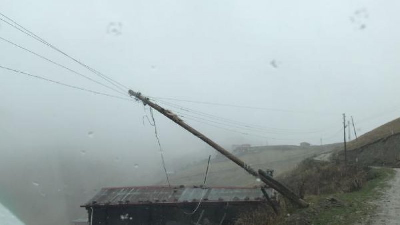 Doğu Karadeniz'de kar etkisi