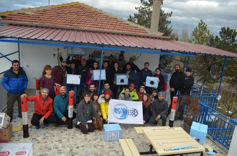 Gönüllülerden sokak hayvanlarına 41 barınma evi