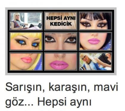 Adnan Hoca'nın kediciği Gülşah Güçyetmez