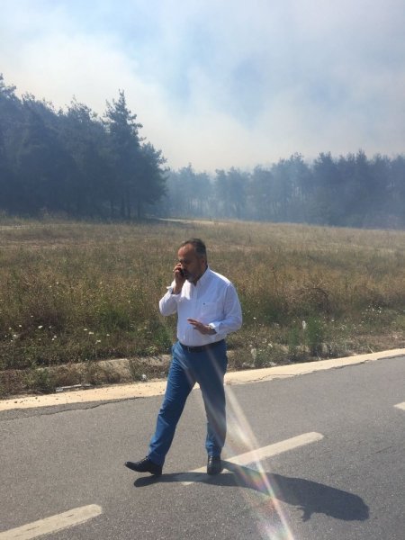 Bursa'da orman yangını