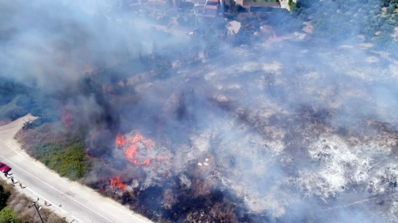 Bursa'da orman yangını