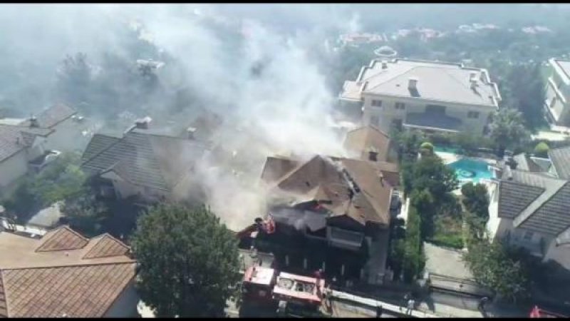 Bursa'da orman yangını