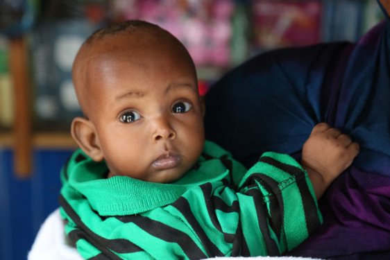 Ensonhaber Somali'ye gitti