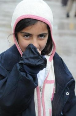 Van'da kar yağışı başladı