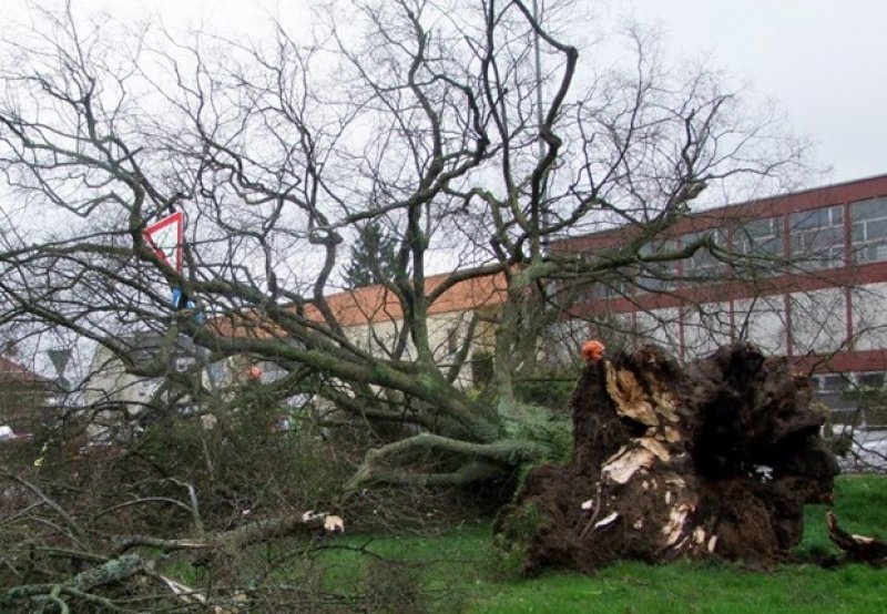 Niklas fırtınası Almanya'yı felç etti