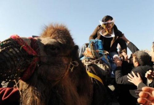 Has Parti'den Mübarek'e develi protesto