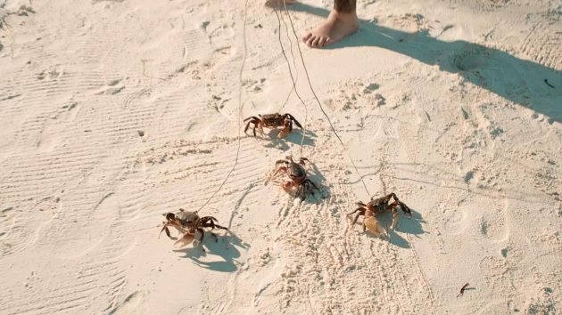 Recep İvedik -4    Şubat'ta sinemalarda 