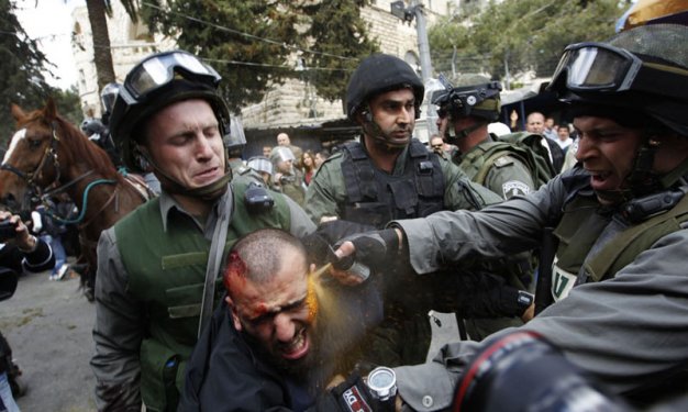 Reuters'dan 2012’nin unutulmazları 