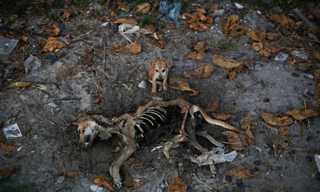 Reuters'dan 2012’nin unutulmazları 