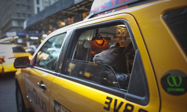 Reuters'dan 2012’nin unutulmazları 