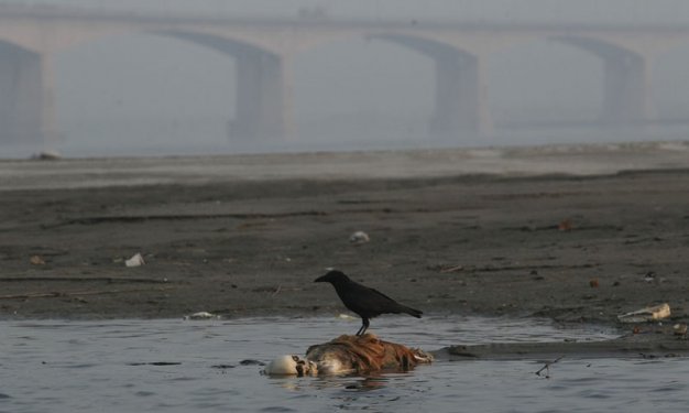 Reuters'dan 2012’nin unutulmazları 