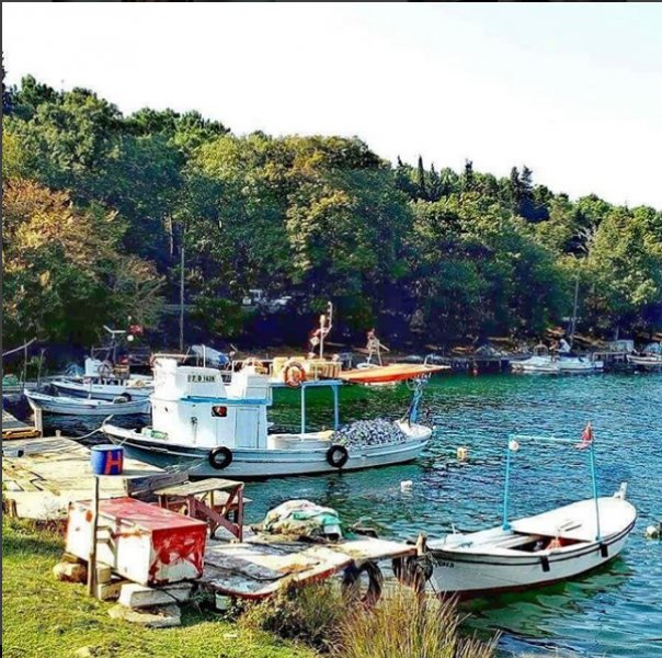 Türkiye'nin en kuzeyindeki saklı cennet: Hamsilos koyu