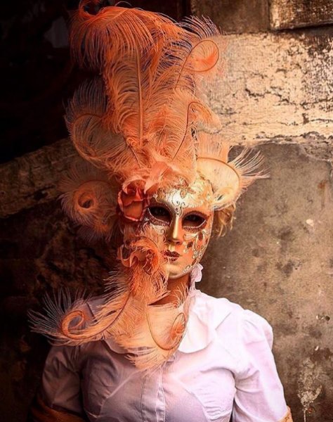 Venedik karnavalı başladı