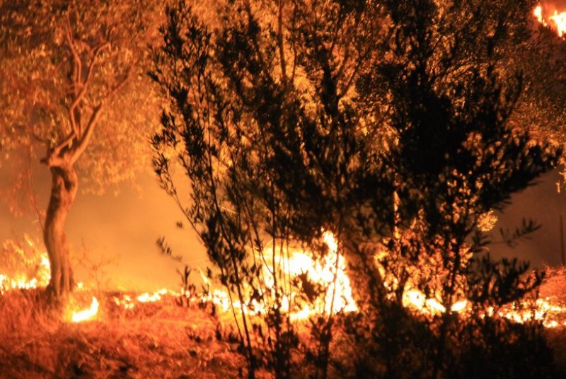 Muğla'da orman yangını 18 saat sonra söndürüldü
