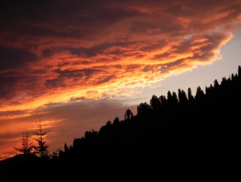 Rize'nin en tuhaf oteli Oberj Otel