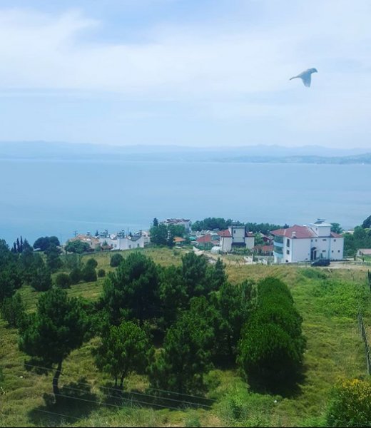 Türkiye'nin en kuzeyindeki saklı cennet: Hamsilos koyu