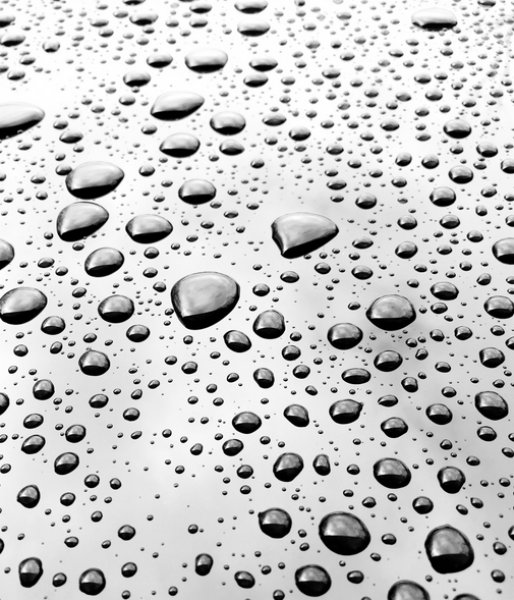 iPhone'larla çekilmiş fotoğraflar