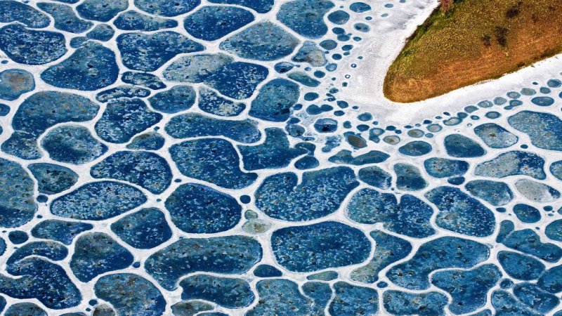 Kanada’nın en ilginç su birikintisi: Lekeli Göl