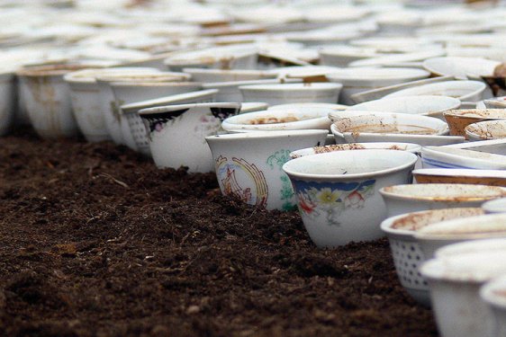 Srebrenitsa Katliamı'nın kurbanları kahveyle anılıyor