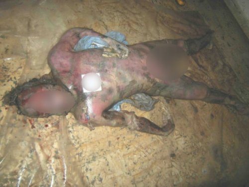 Suriye'deki vahşetten yeni fotoğraflar ortaya çıktı